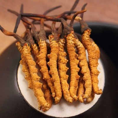 白云冬虫夏草回收,散装冬虫夏草价格啥价