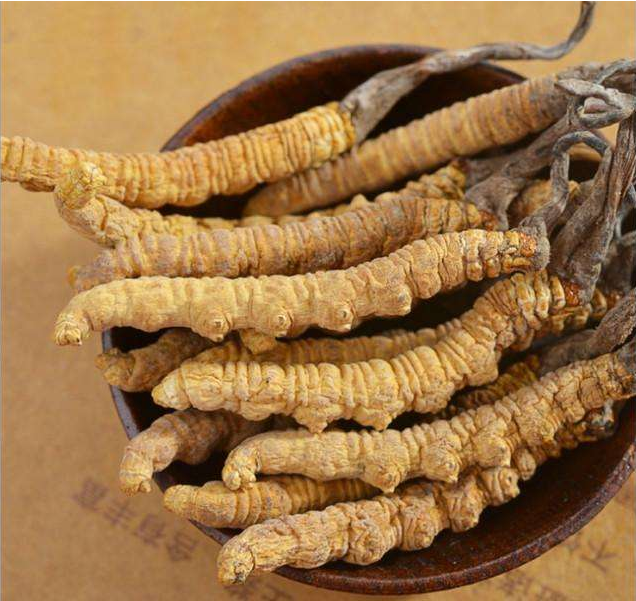 广州回收20克一盒那曲虫草