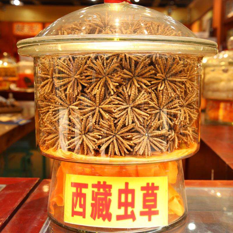 海珠近期冬虫夏草回收价格