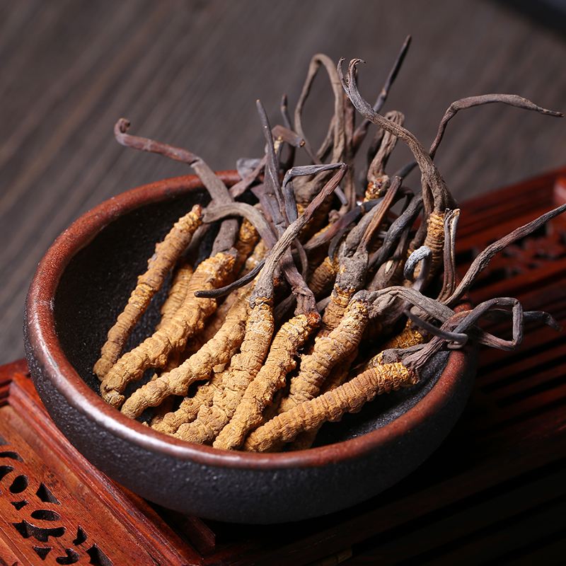 广州虫草回收多少钱一克