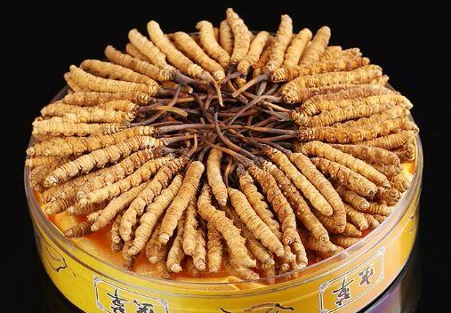 广州哪里有收购冬虫夏草店铺-广州高价回收虫草商家
