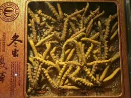 广州回收冬虫夏草具体价格-哪里上门回收虫草