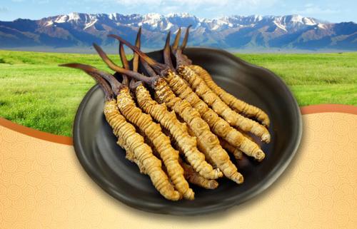 荔湾回收冬虫夏草虫蛀的价格高吗