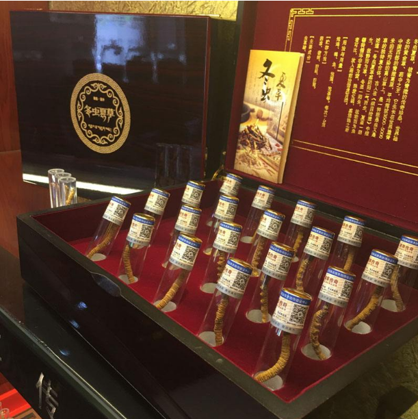 越秀冬虫夏草回收价格行情