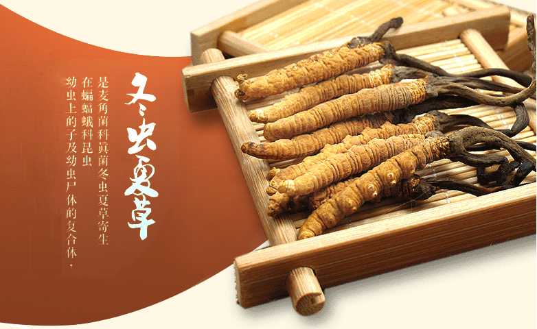 萝岗虫草回收方式
