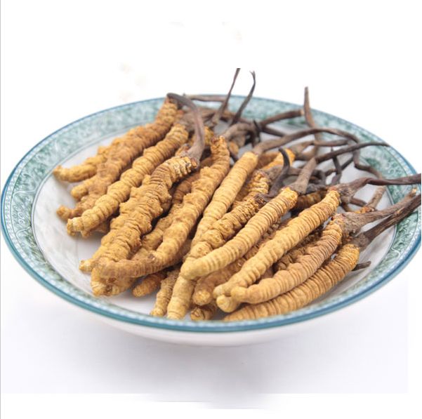荔湾虫草回收多少钱一克