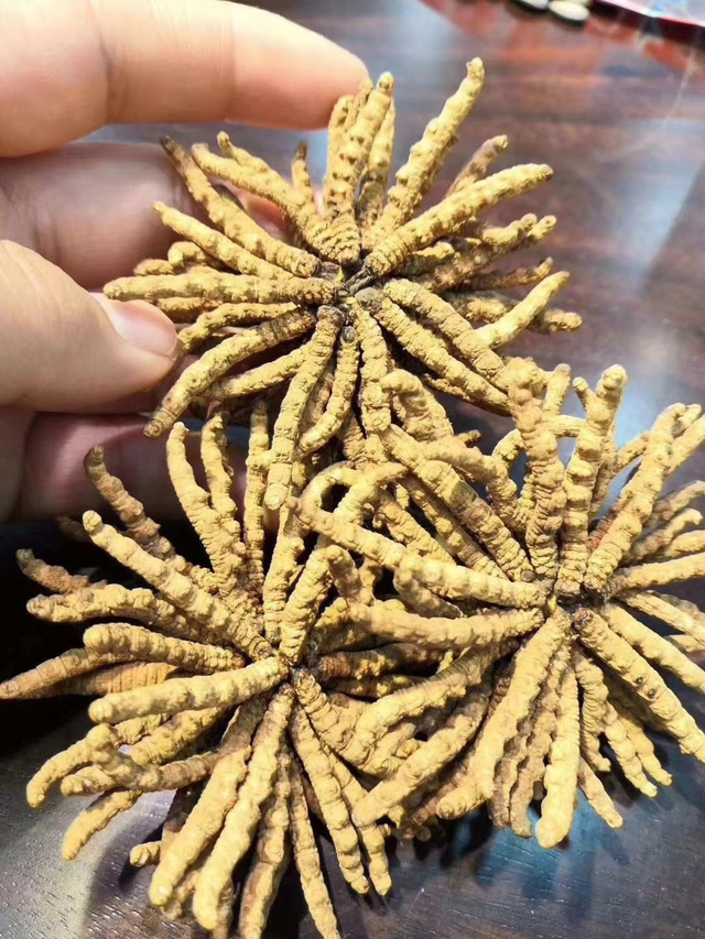 广州礼盒虫草回收商家