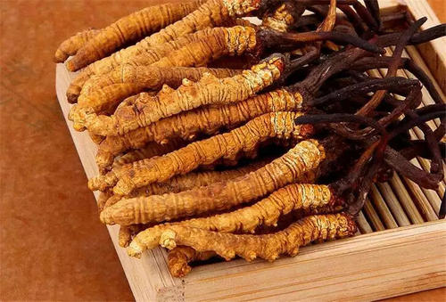 天河冬虫夏草上门回收